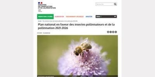 Couverture de Plan national en faveur des insectes pollinisateurs et de la pollinisation 2021-2026