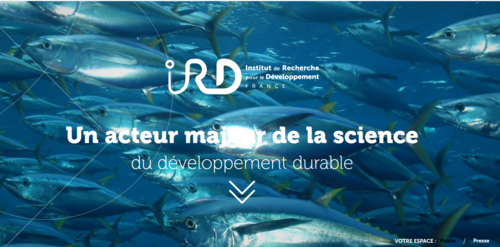 Couverture de IRD : Institut de Recherche pour le Développement