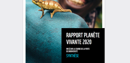 Couverture de Planete vivante 2020 : Infléchir la courbe de la perte de la biodiversité - Synthèse