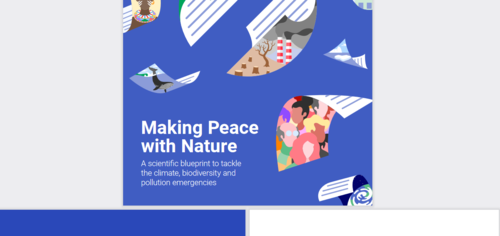 Couverture de Making Peace with Nature : A scientific blueprint to tackle the climate, biodiversity and pollution emergencies
