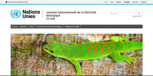 Couverture de Journée internationale de la diversité biologique